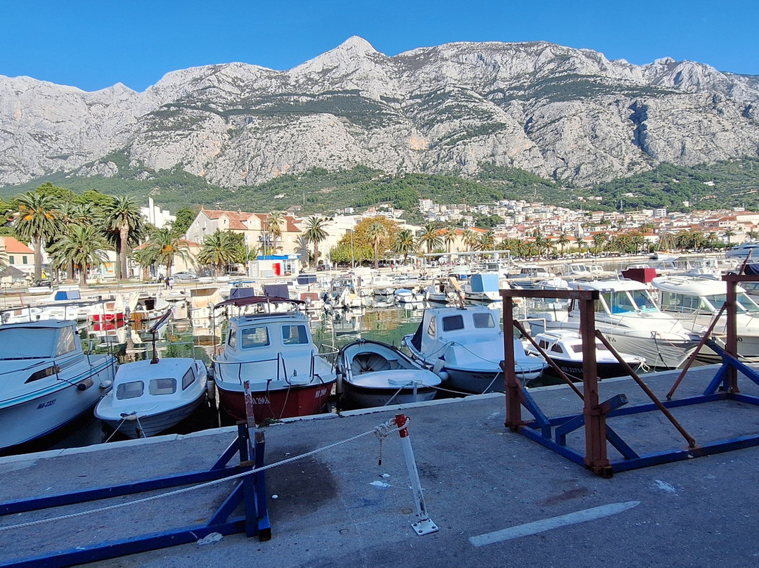 Makarska Harbour景点图片