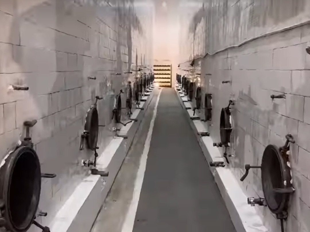 Fabrika E Verës Dea Delvinë-Delvine必去景点