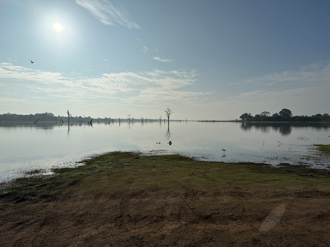 Freedom Safari Udawalawa-乌达瓦拉瓦必去景点