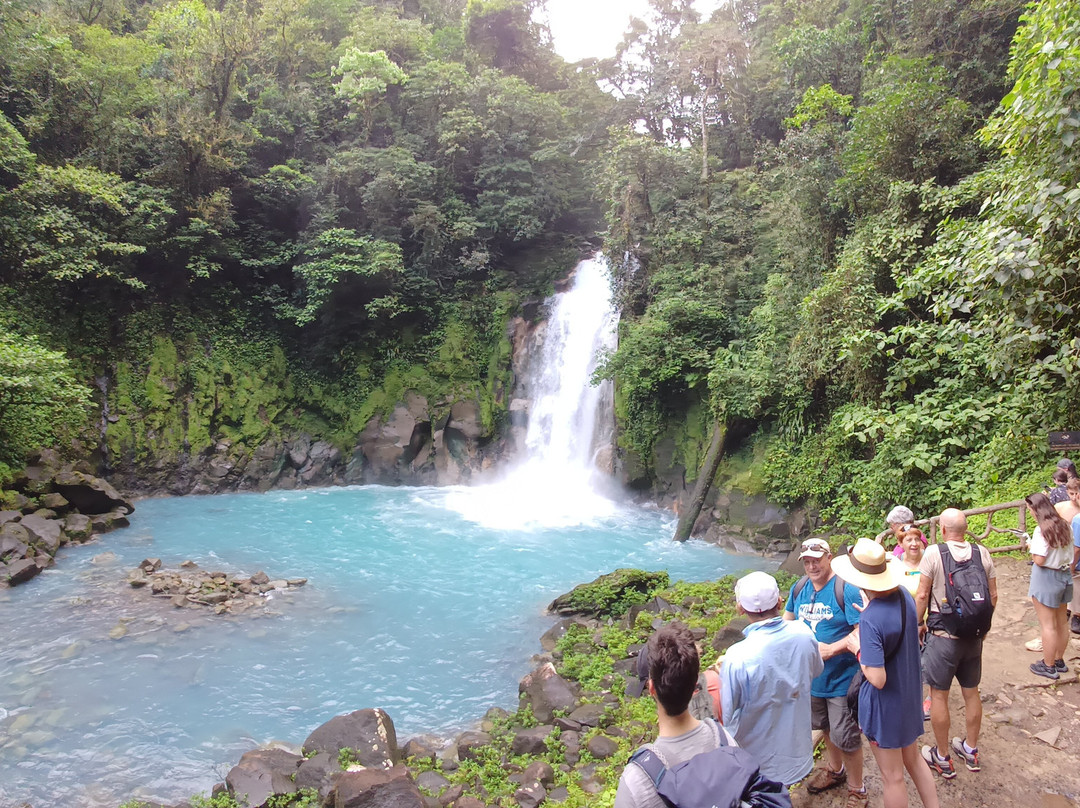 Parque National Volcan Tenorio景点图片