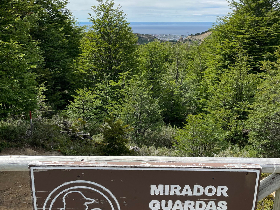 Reserva nacional Magallanes-蓬塔阿雷纳斯必去景点