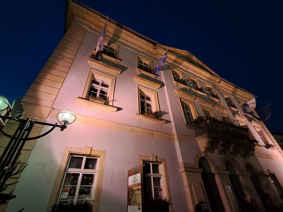 Rtahaus Landau/Pfalz景点图片