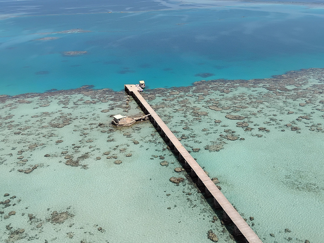 Red Sea Secret Diving Center-Port Sudan必去景点