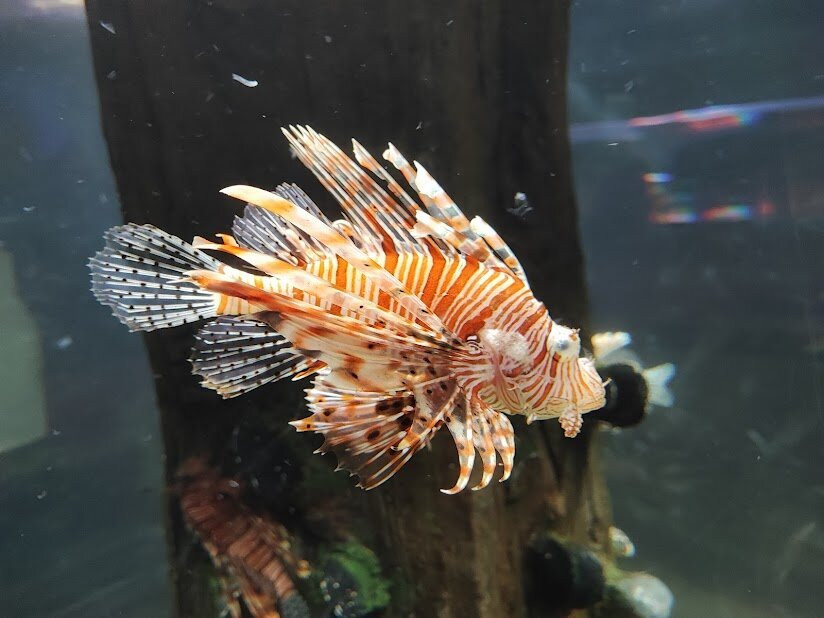 VGP Marine Kingdom景点图片