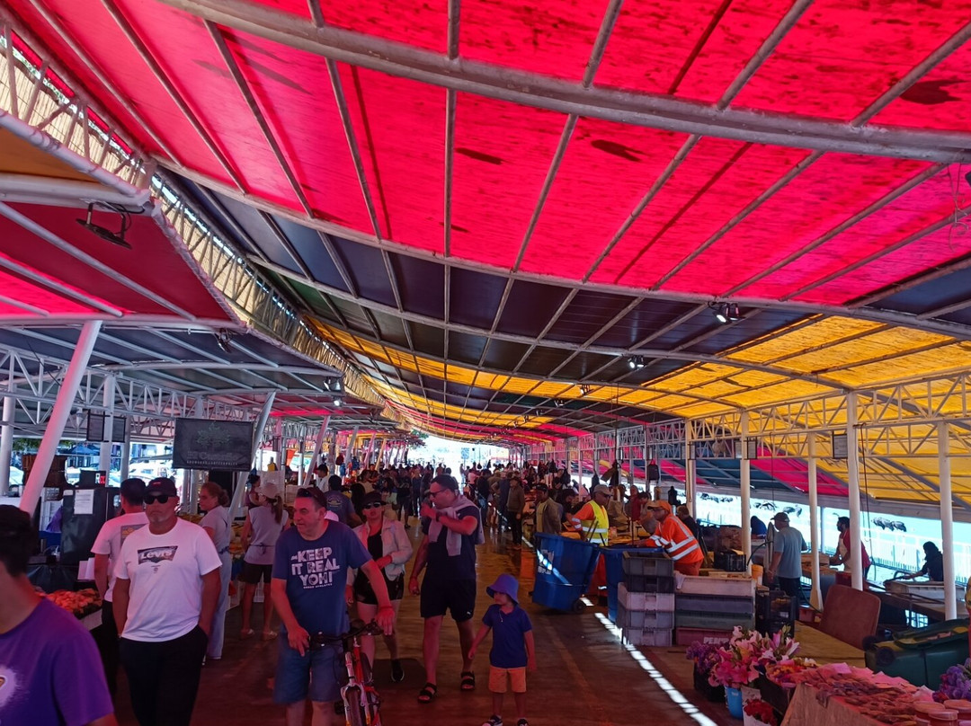 Feria Fluvial de Valdivia-瓦尔迪维亚必去景点