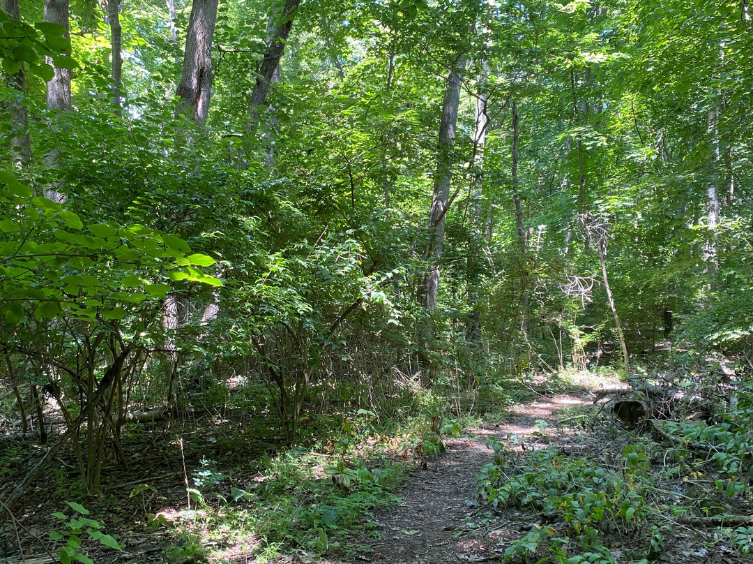 Jane Coates Wildflower Trail-Put in Bay必去景点