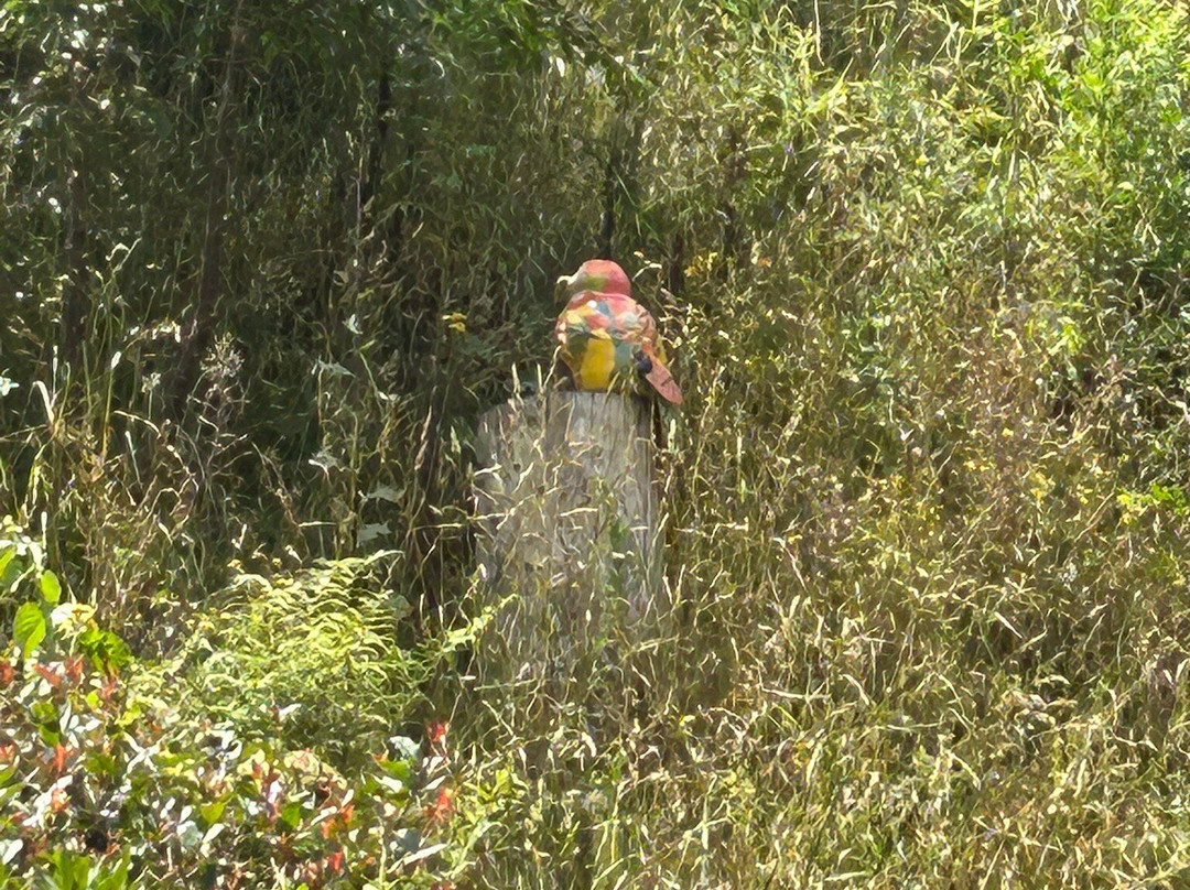 The Sculpture Park景点图片