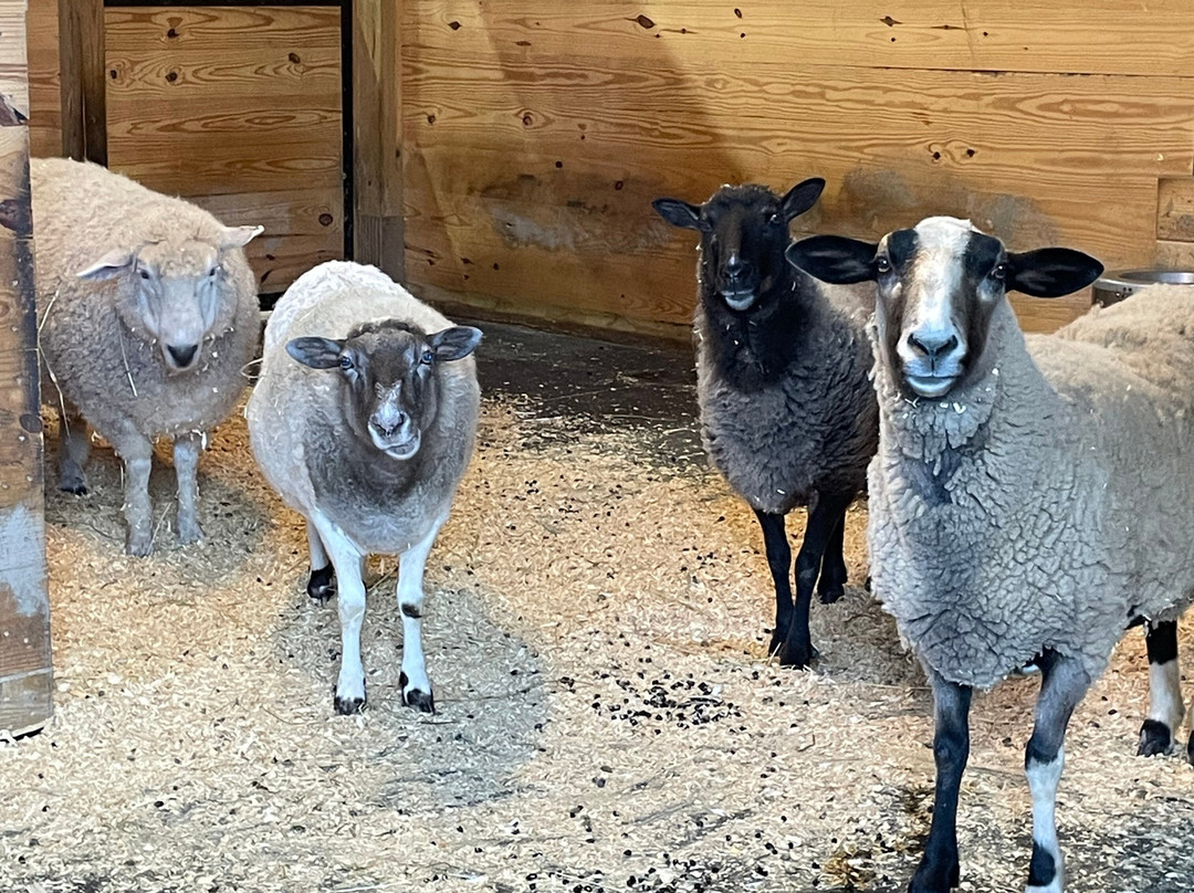 Sweet Farm-Himrod必去景点