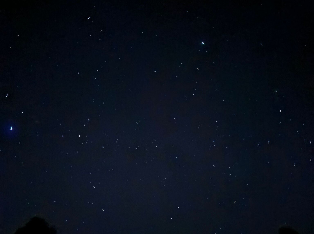 麦克拉伦瀑布公园景点图片