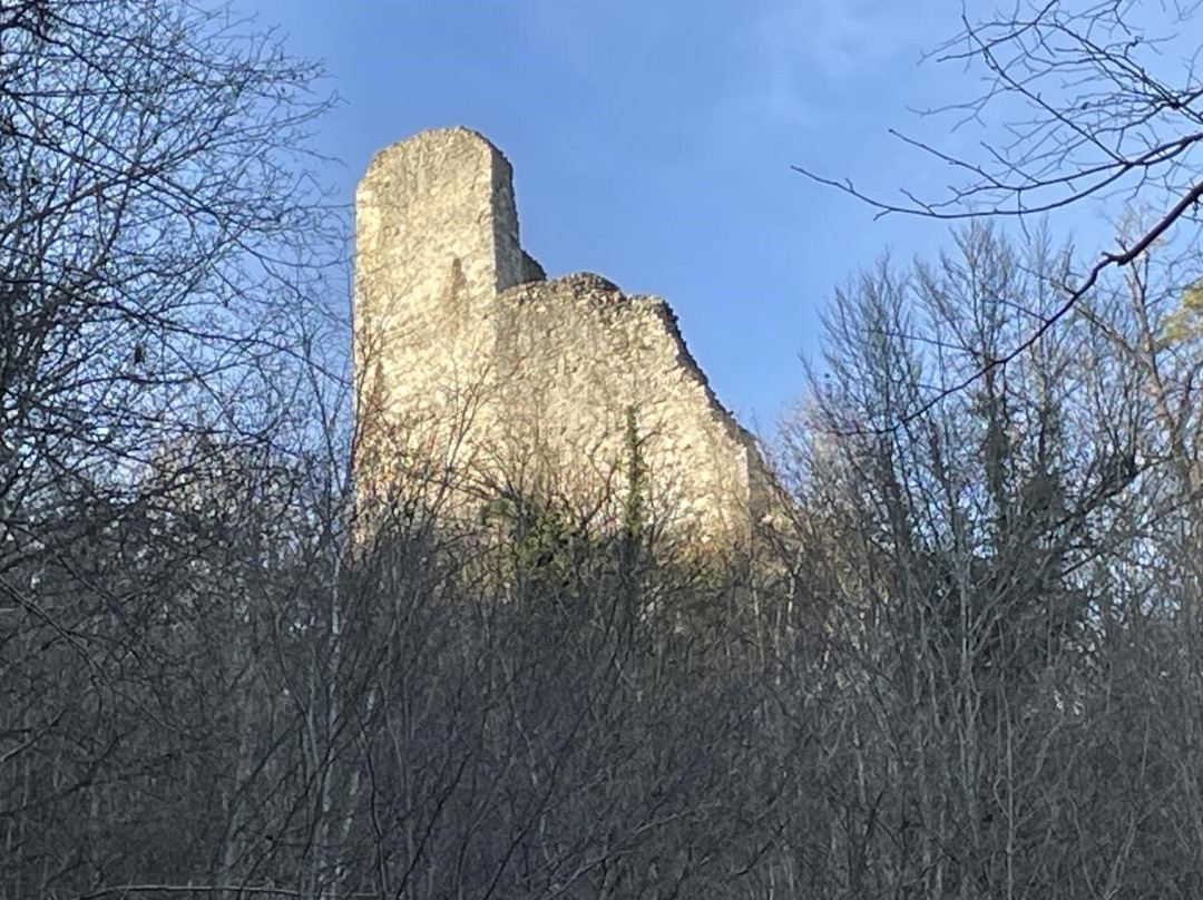Chateau de Vorbourg-德莱蒙必去景点