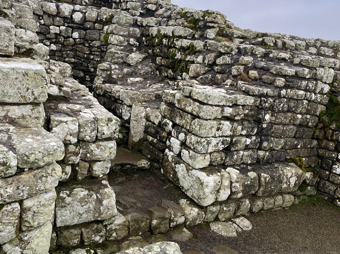 Housesteads Roman Fort - Hadrian's Wall景点图片