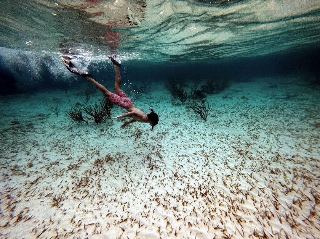 Sea Jay Cruises-格雷斯湾必去景点
