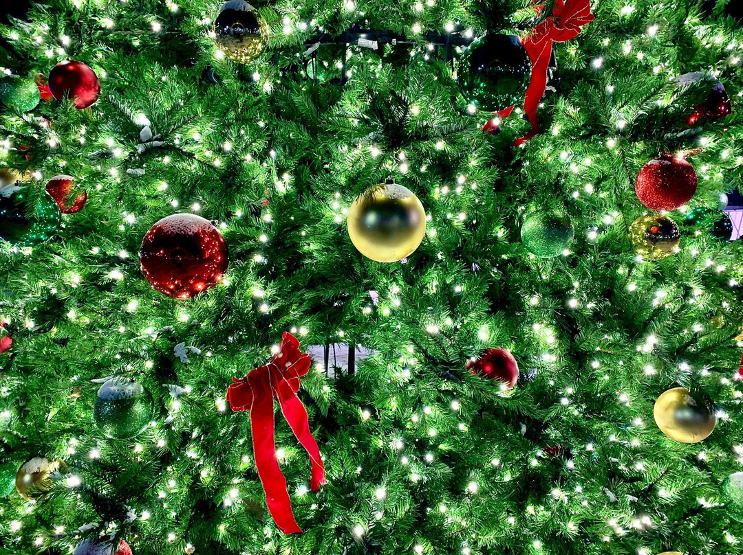 Grand Forks Town Square-大福克斯必去景点