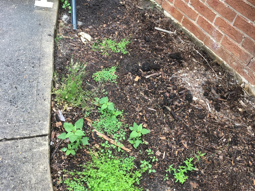 Wisemans Retreat主图