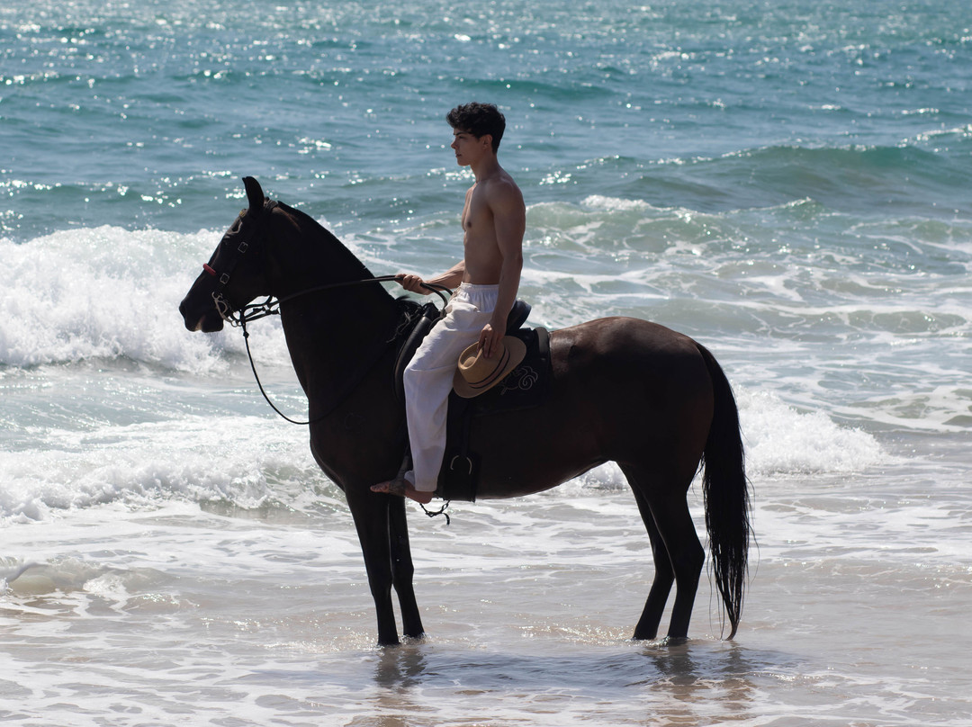 Haras Maracaipe-嘎林海斯港必去景点