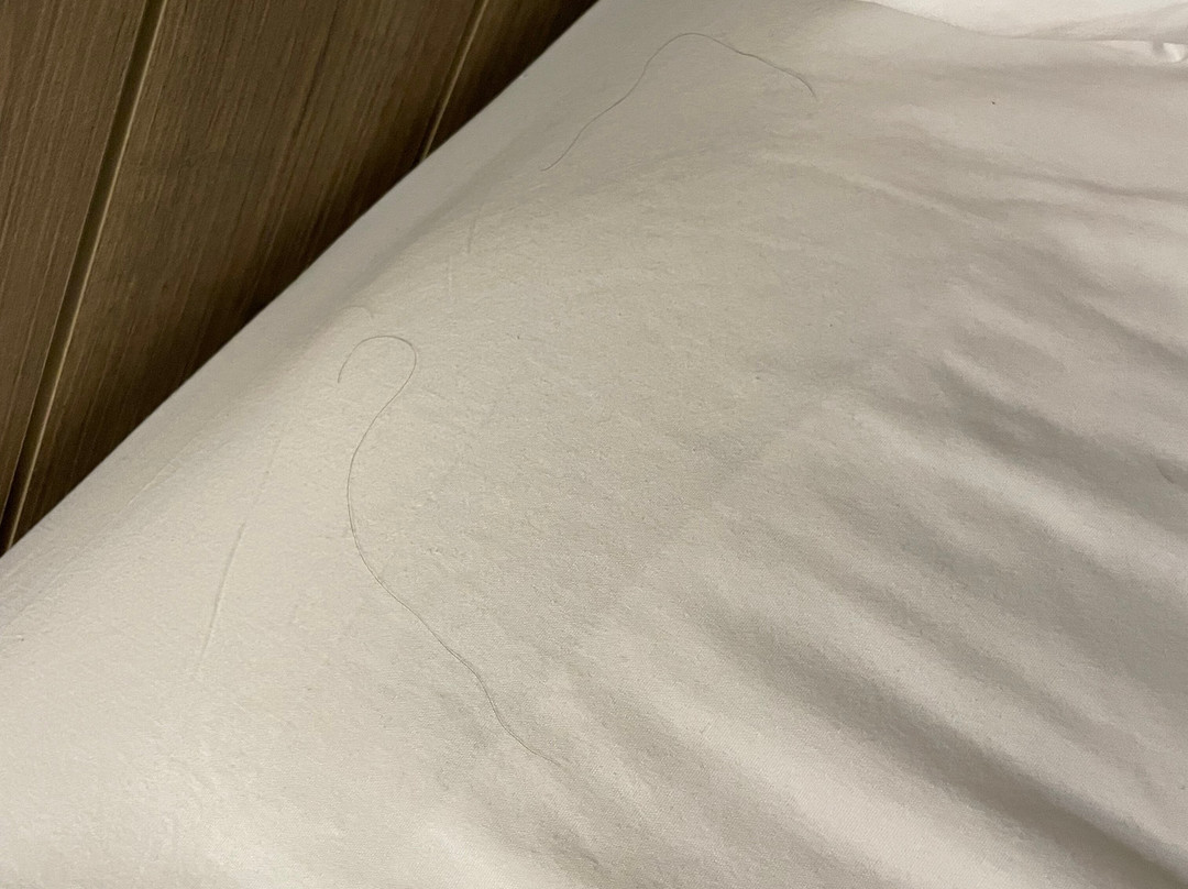 蒙特利尔桑德曼酒店 - 隆格伊主图