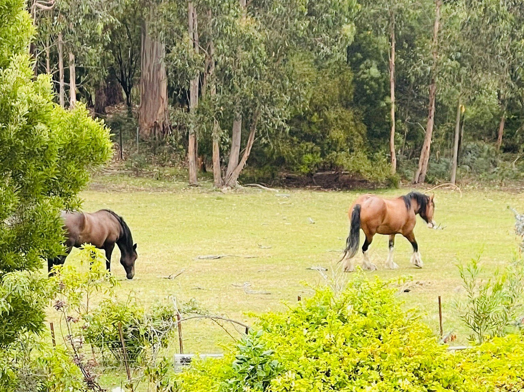 Waterview Gardens B&B主图