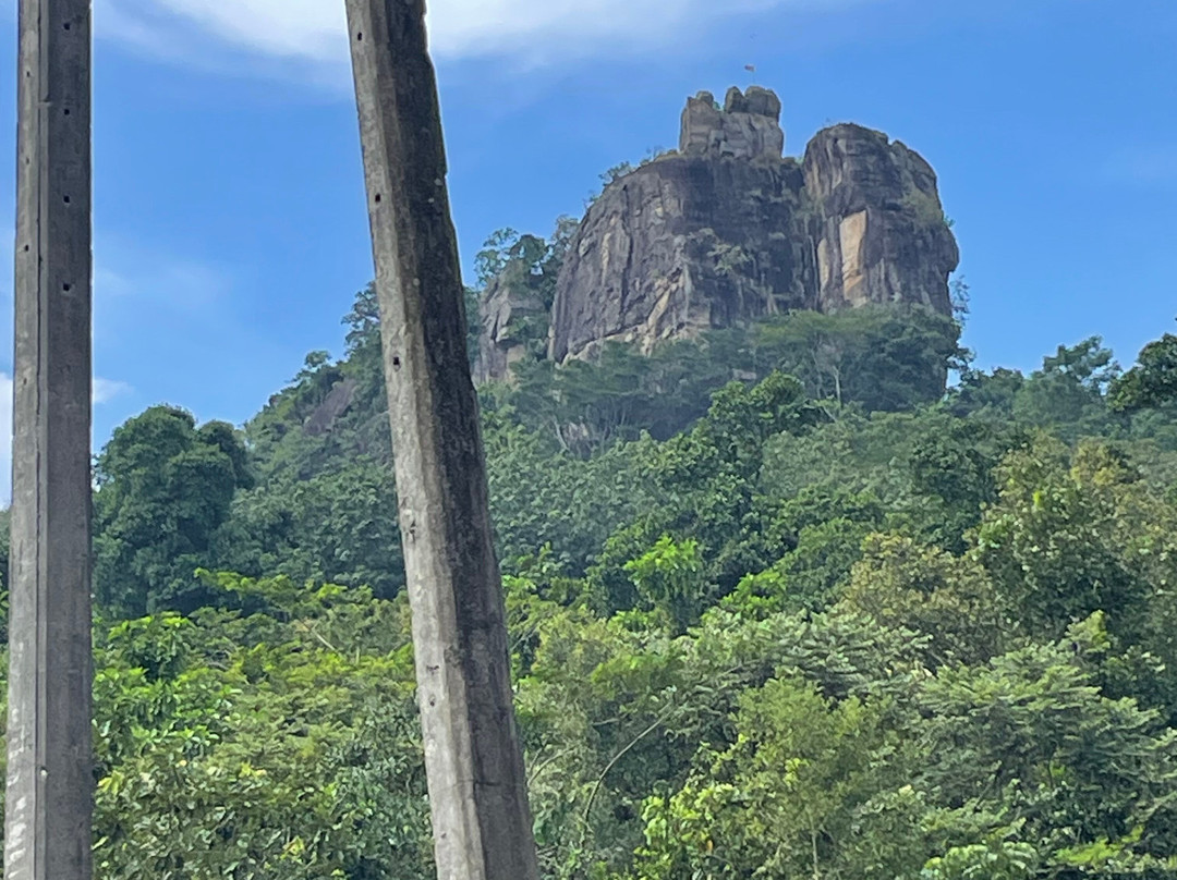 Bee Lanka Tours景点图片