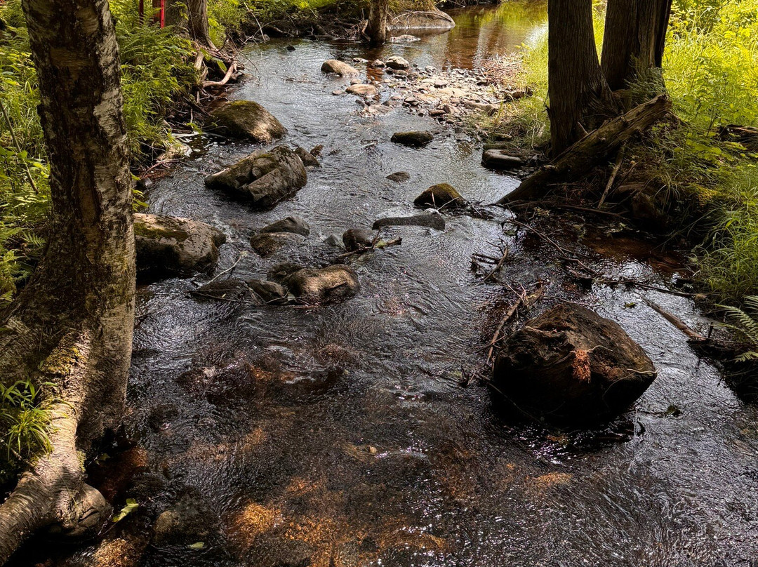 Hebergement aux Cinq Sens主图