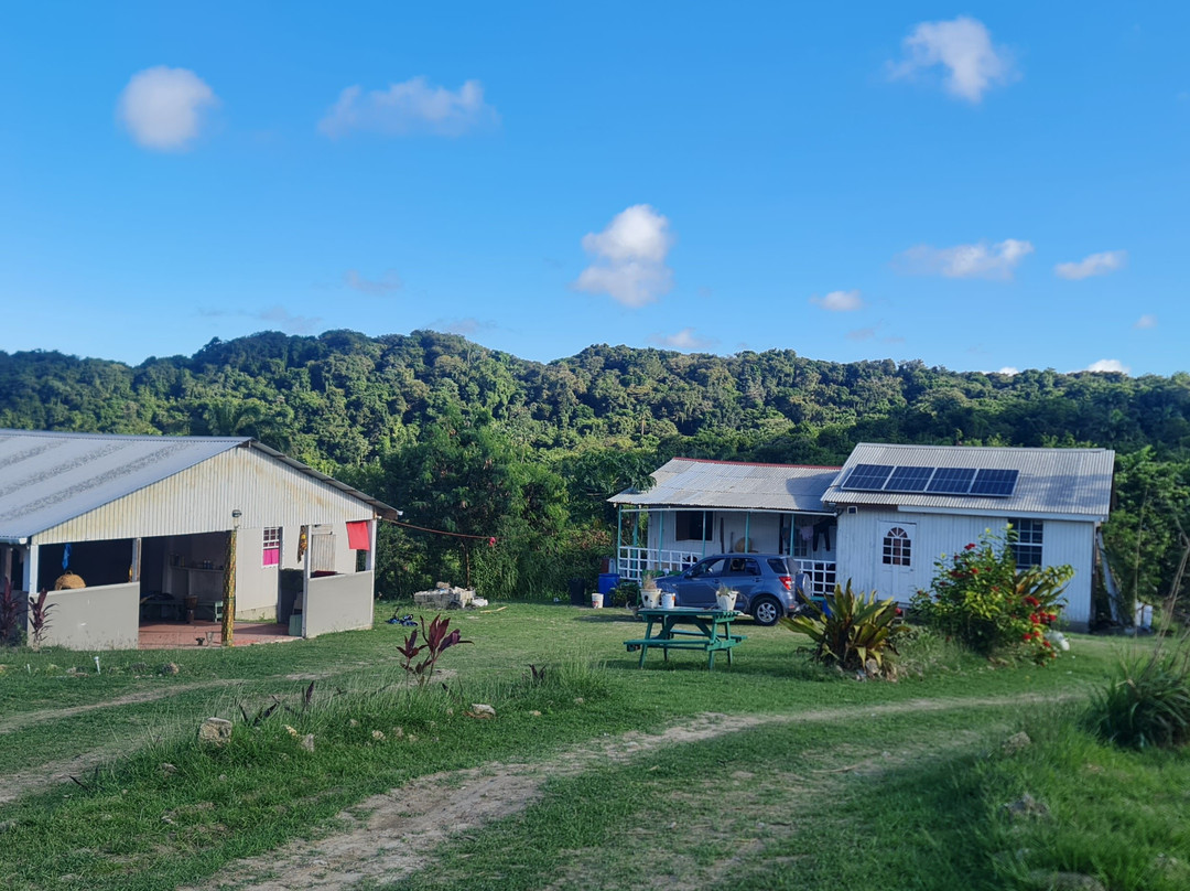 Ngozi Farm And Cultural Sanctuary-Swanns必去景点