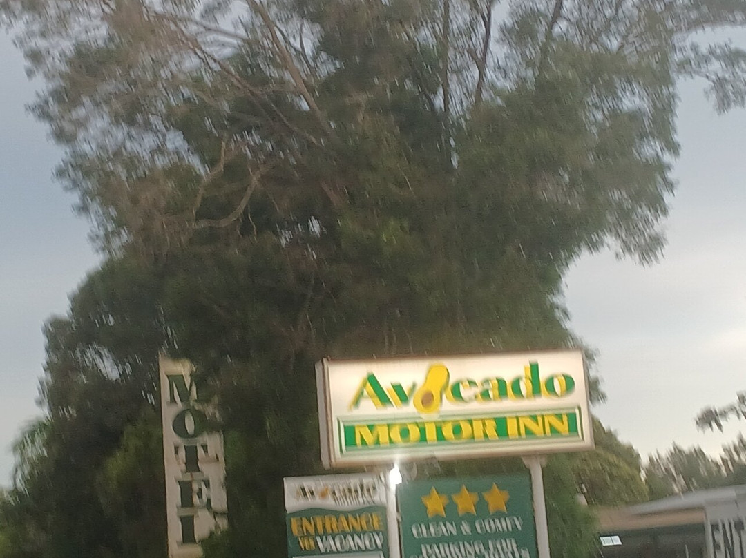 Avocado Motor Inn主图