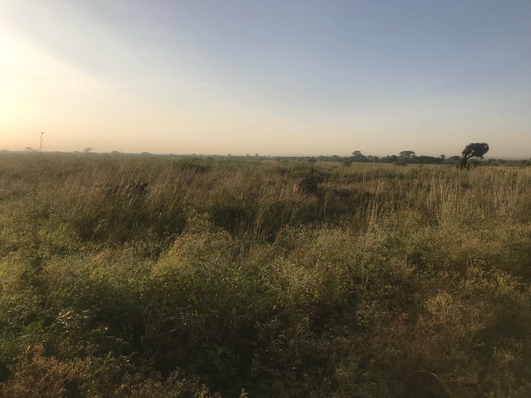 Jimfire Safaris and Transfers-Karen必去景点