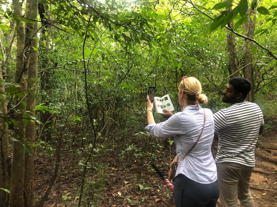 Popham's Arboretum-丹布拉必去景点