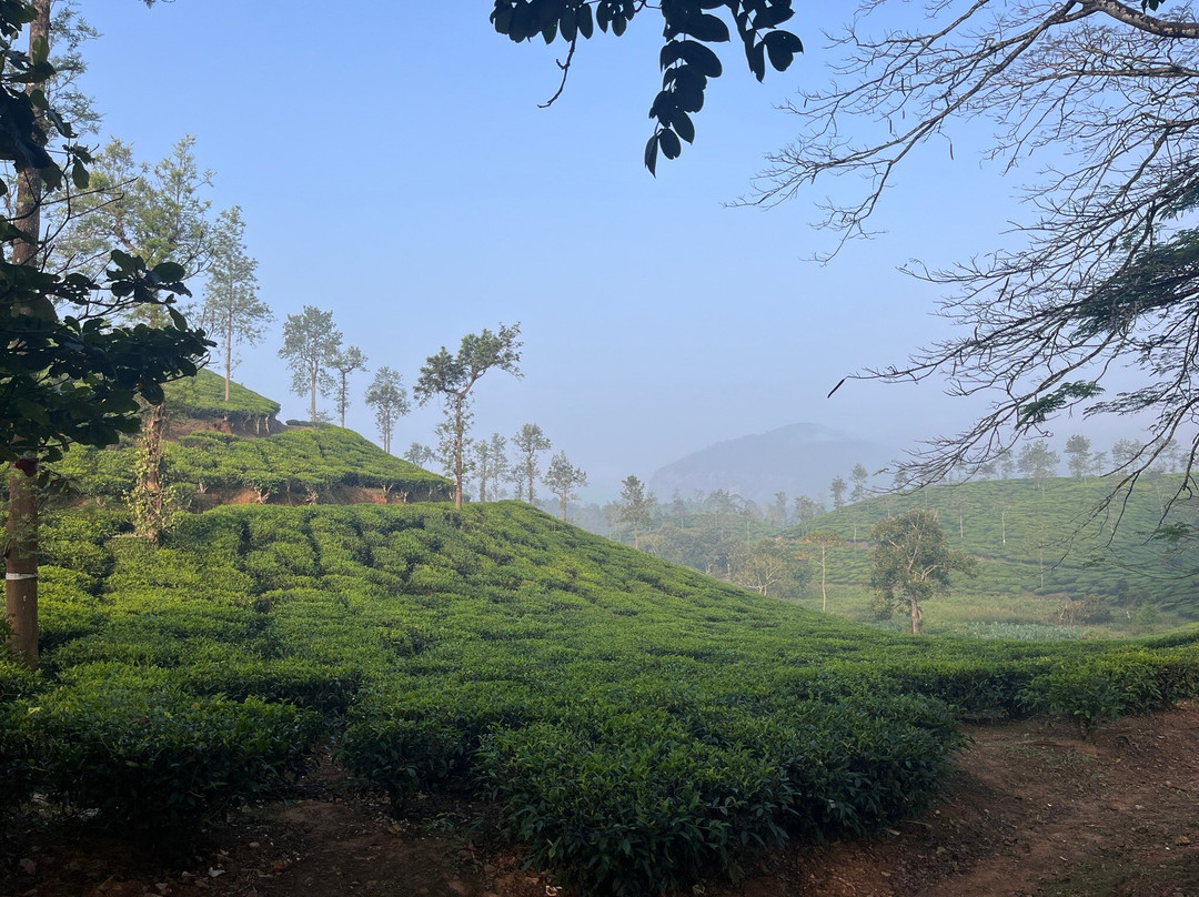 Elephant Trail 16.0-Cherambadi必去景点