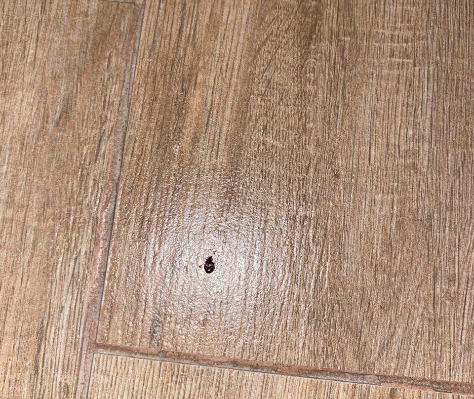 Hotel El Tesoro De Elqui主图