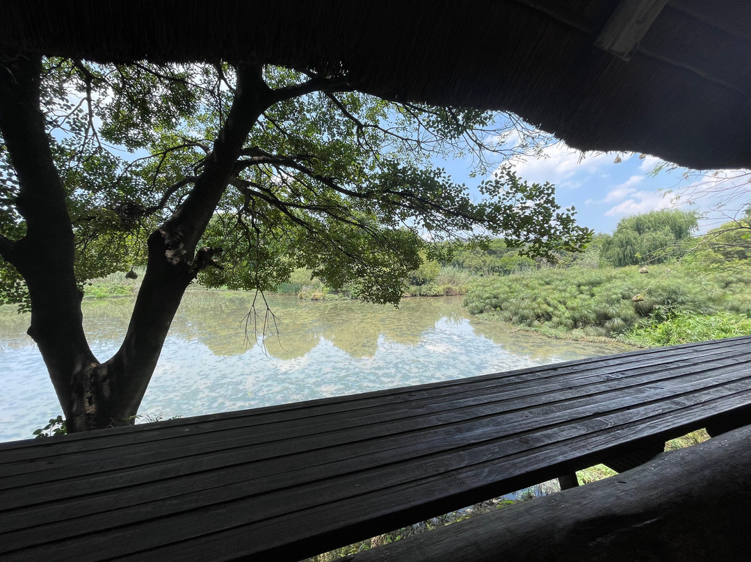 Austin Roberts Bird Sanctuary-比勒陀利亚必去景点