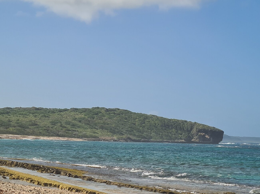 Anse a la Gourde-Saint Francois必去景点