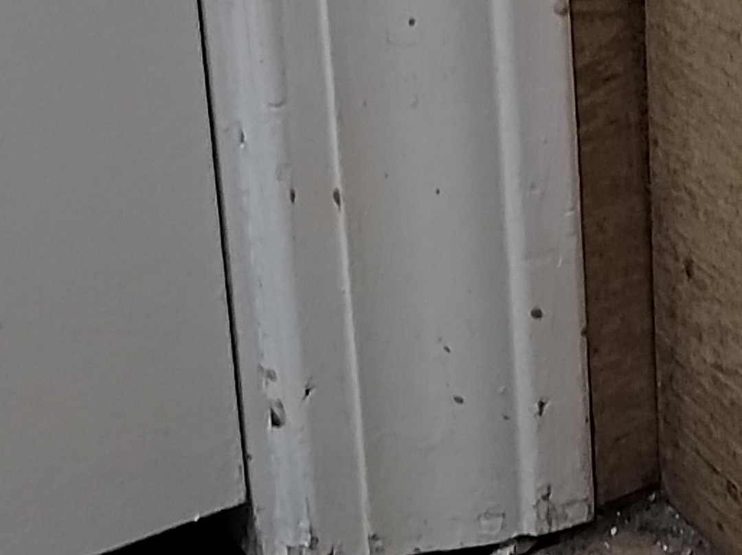 TownePlace Suites by Marriott Dallas McKinney主图