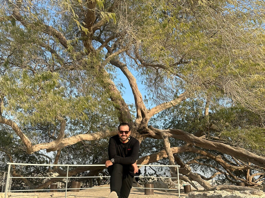 Tree Of Life-麦纳麦必去景点