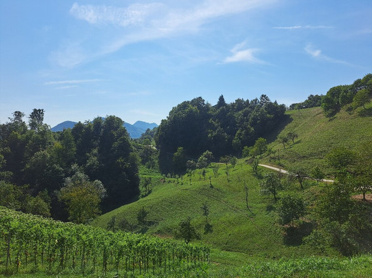 Plajnšek Winery-Kocice必去景点