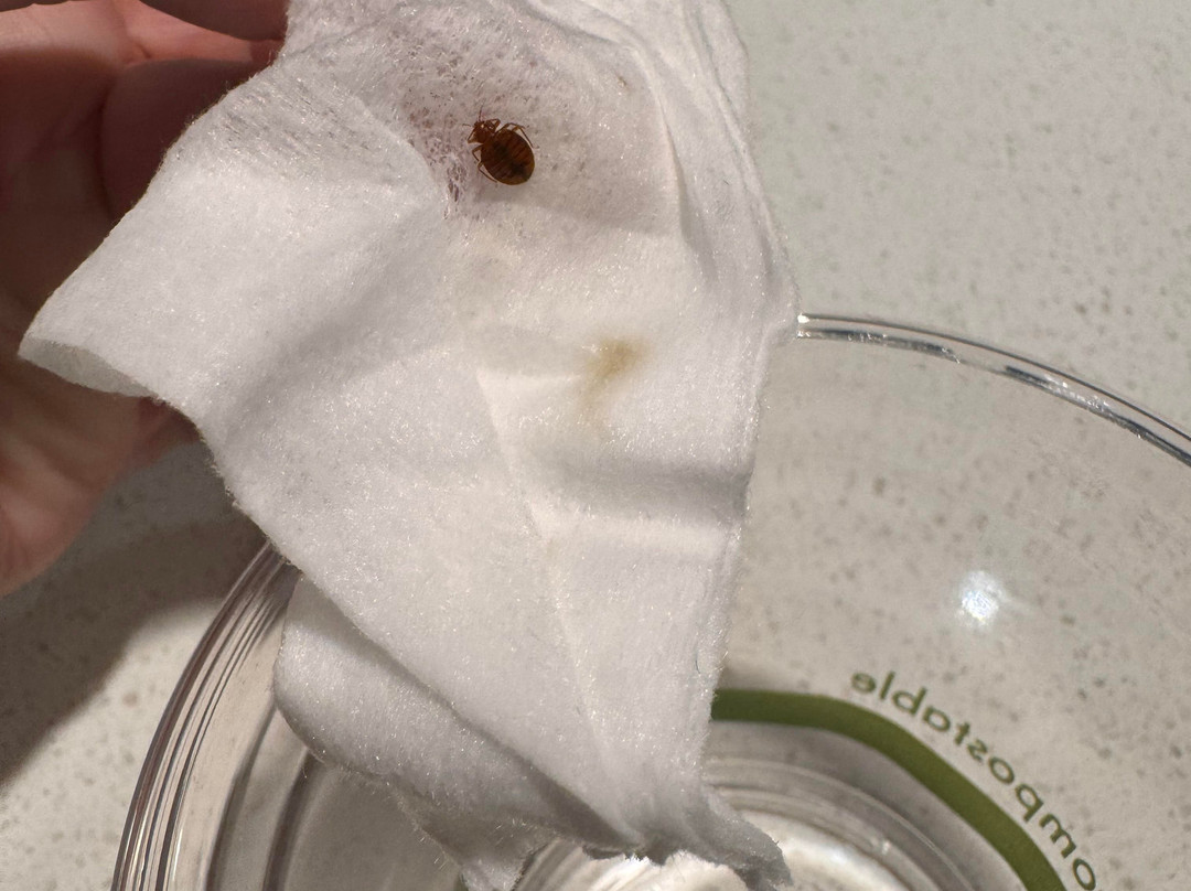 Springhill Suites by Marriott Chattanooga South/Ringgold, GA主图