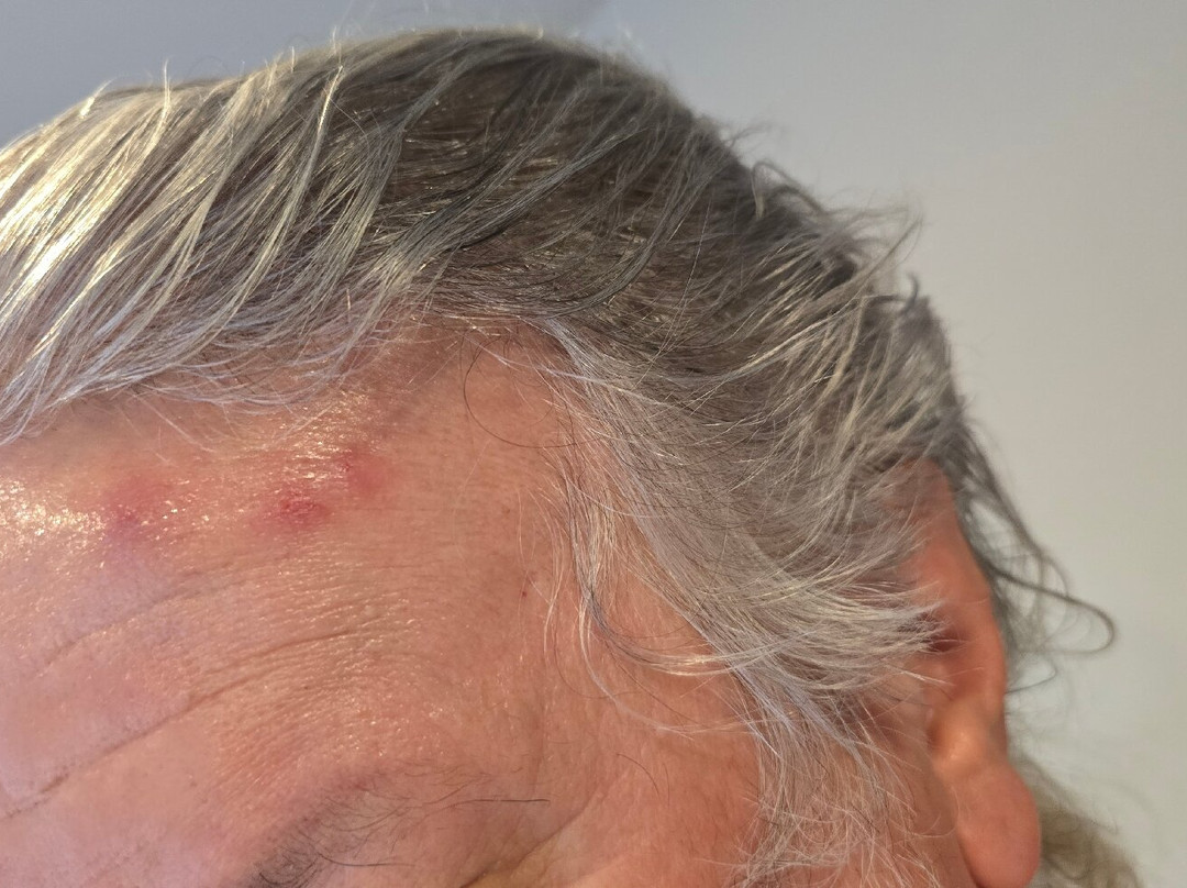 Woodsman Country Lodge主图