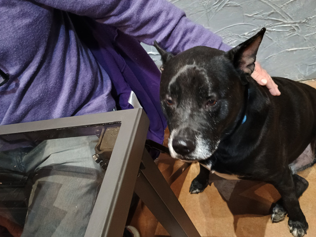 Silver Dollar Winery Hill Country-Johnson City必去景点