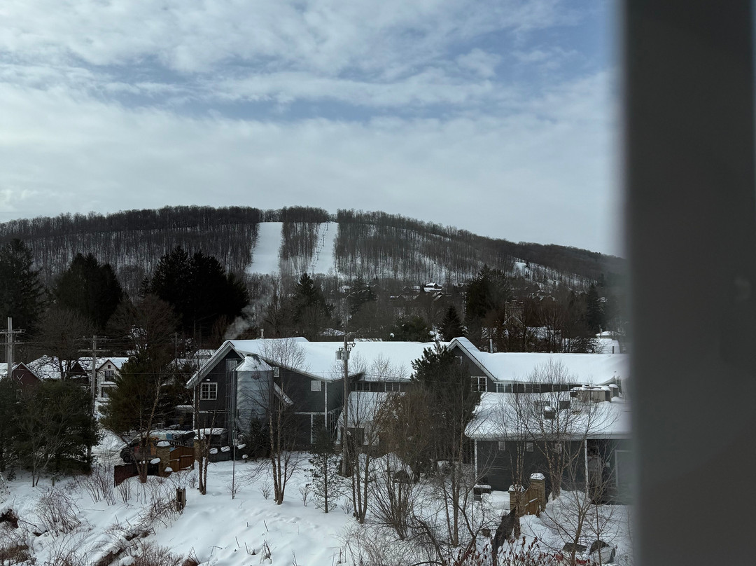 Wingate by Wyndham Ellicottville主图