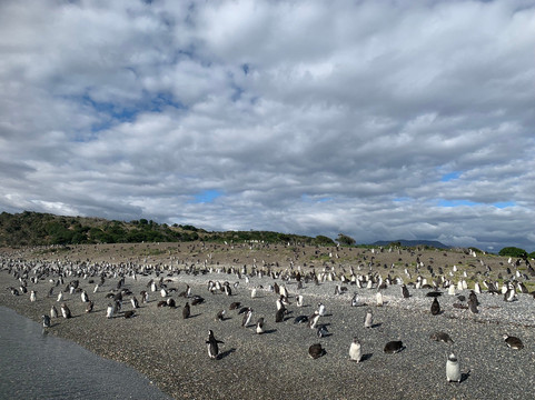 Latitud Ushuaia Travel-乌斯怀亚必去景点