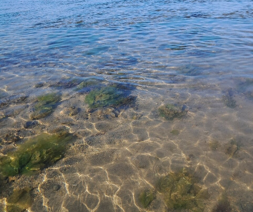 Narara Marine National Park景点图片
