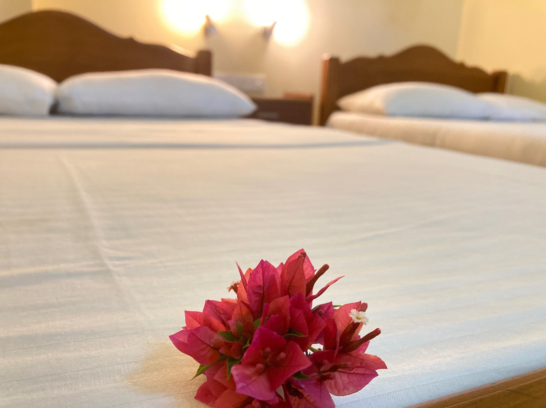 Rainforest Lodge主图