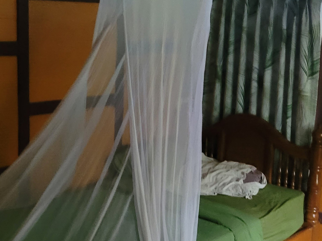 考苏克树屋度假村主图