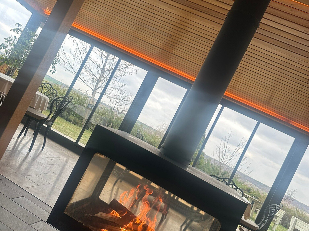 Bakucha Vineyard Hotel主图