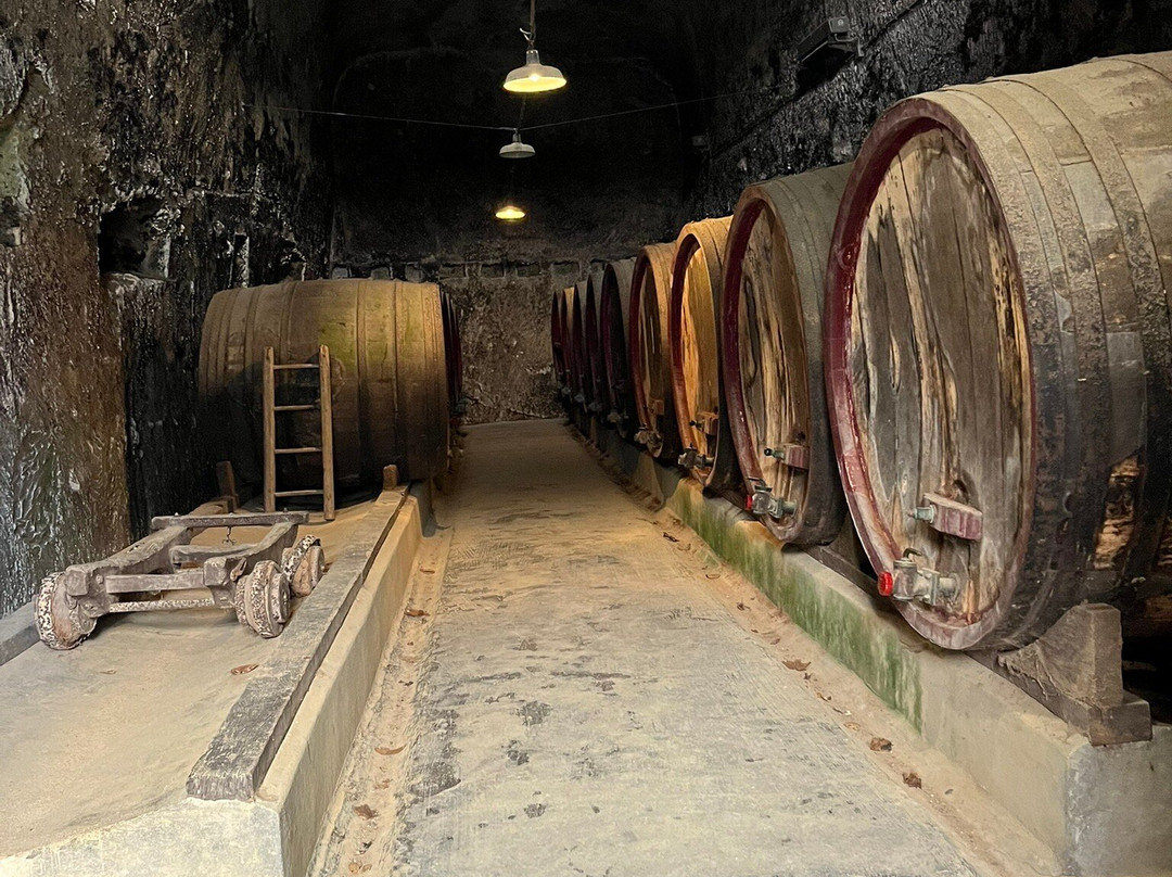Chateau de Brézé景点图片