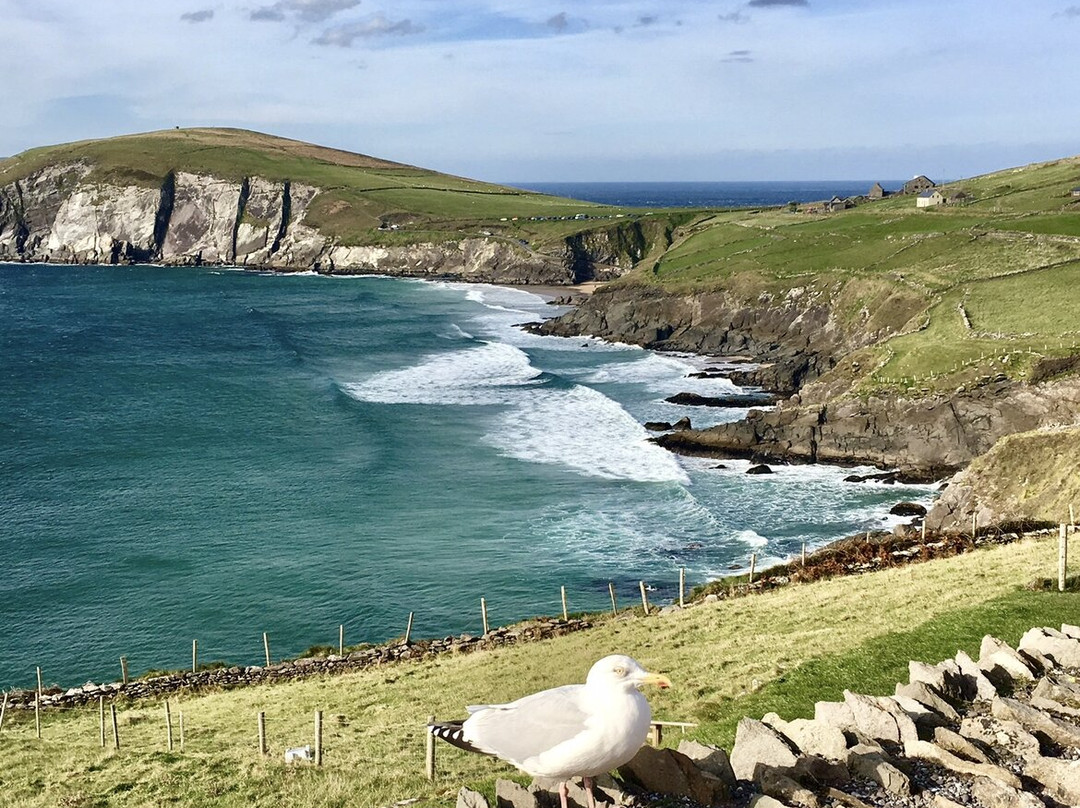 Coumeenoole Beach-丁格尔必去景点