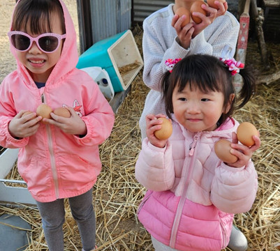 Boshack Farm Perth Day Tours-珀斯必去景点