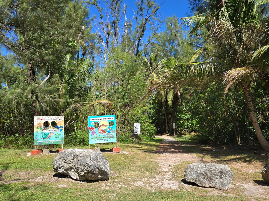 利堤迪安岬-阿加尼亚必去景点