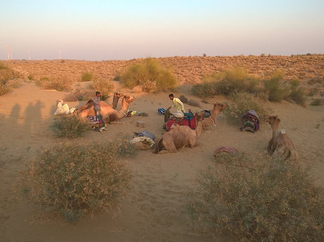 Crazy Camel Desert Camping-杰伊瑟尔梅尔必去景点