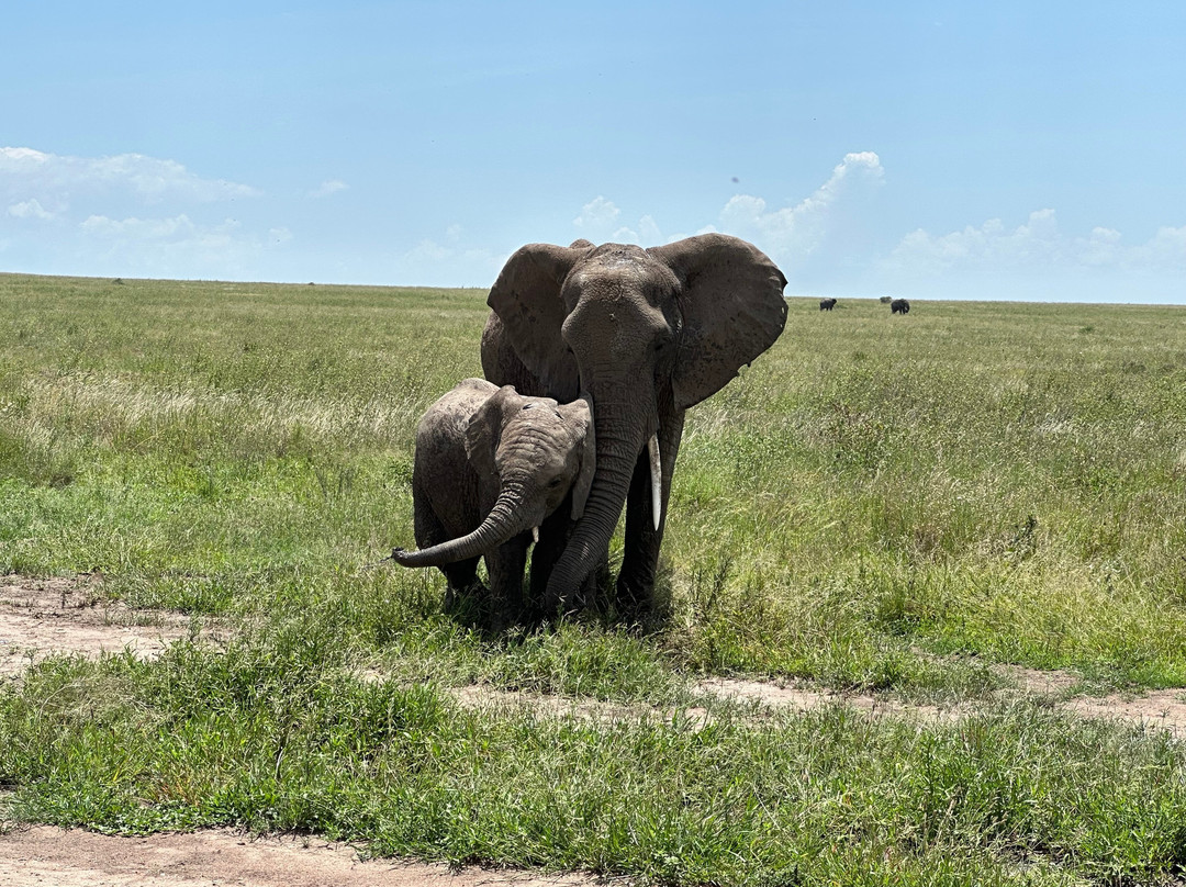 Lucas' African adventures-阿鲁沙必去景点