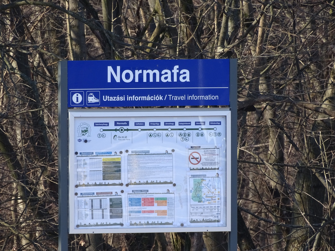 Normafa景点图片